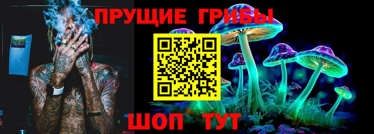 Псилоцибиновые грибы GOLDEN TEACHER  Псилоцибиновые грибы ЛСД  Старая Купавна  Вход с VPN 